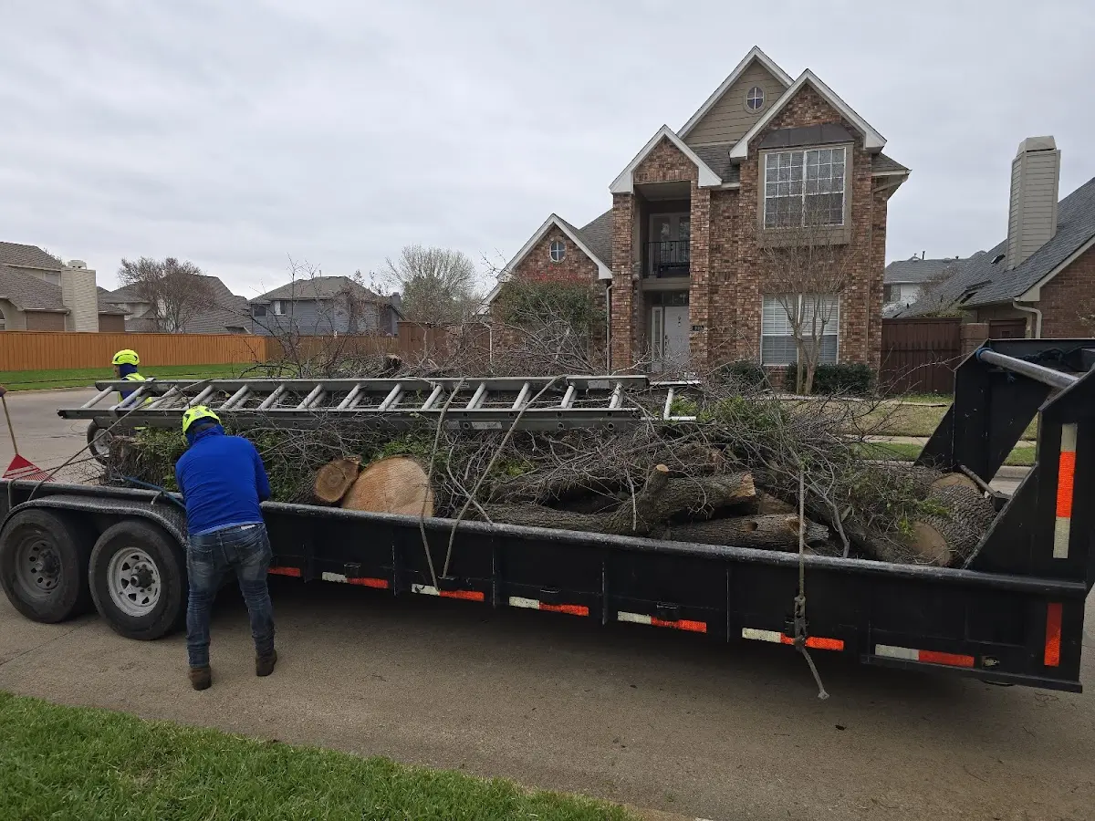 Expert Tree Fertilization with proper safety equipment in Ranier